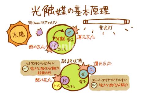 兴安专业保洁公司承接开荒外墙地毯家电除甲醛灭鼠等保洁业务